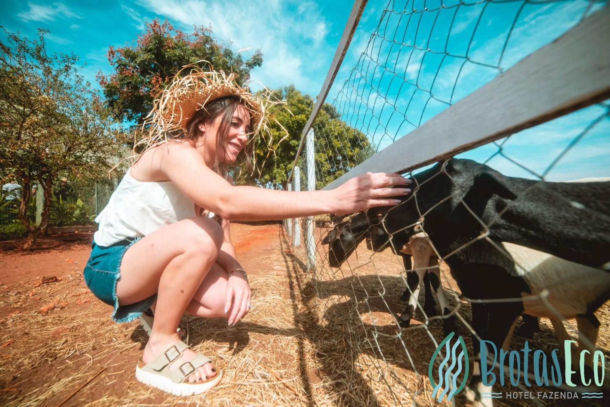 Brotas Eco Hotel Fazenda ภายนอก รูปภาพ